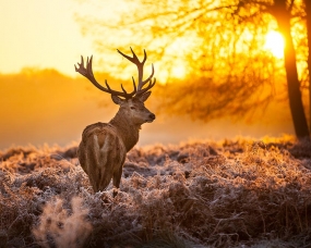 AUTUMN STYLE