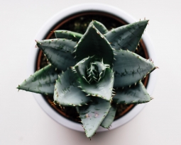The New Clear and Bold Blog