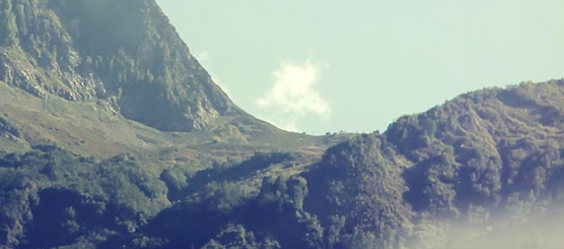 Etas luctus
