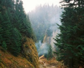 The New Clear and Bold Blog